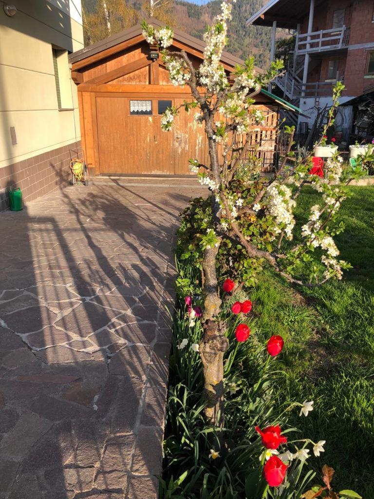 Appartamento Luminoso, Giardino, Vista Dolomiti. 바셀가디피네 외부 사진
